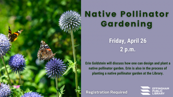 Image for event: Native Pollinator Gardening